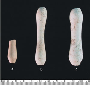 Medicine/grooming and hygiene