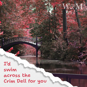 I'd swim across the Crim Dell for you written on a photo of the Crim Dell and bridge on William &amp; Mary's wooded campus